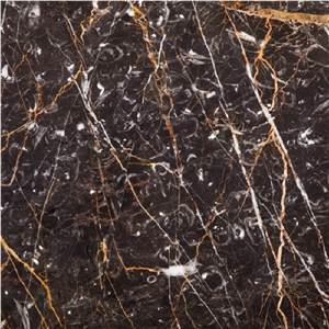 kashan golden black marble