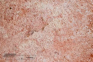 Red Travertine Bush Hammered